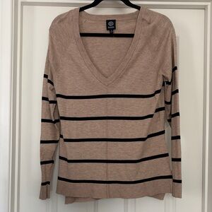 Tan and Black Striped V-Neck Sweater